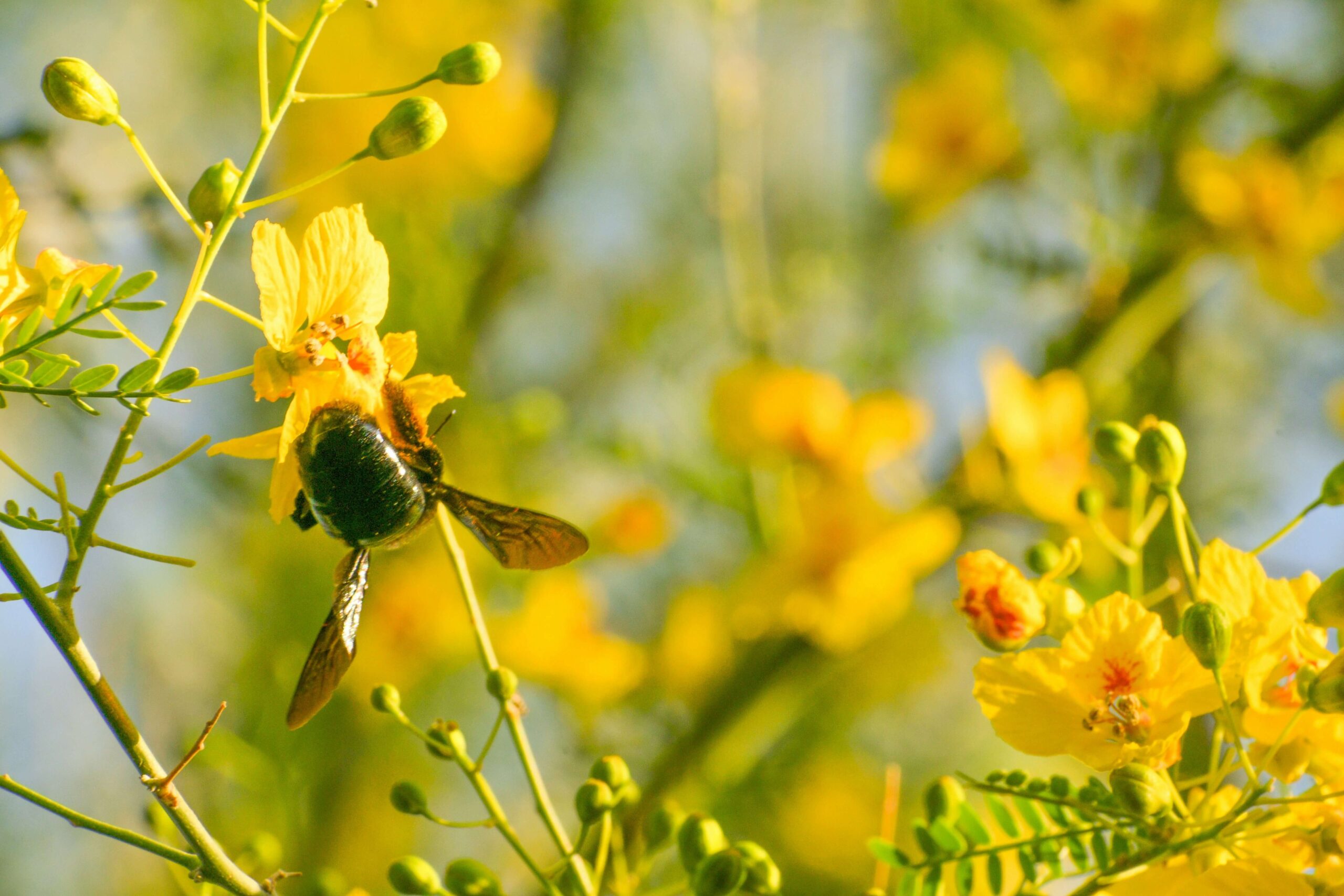 izumi-v8TQRuAoksM-unsplash