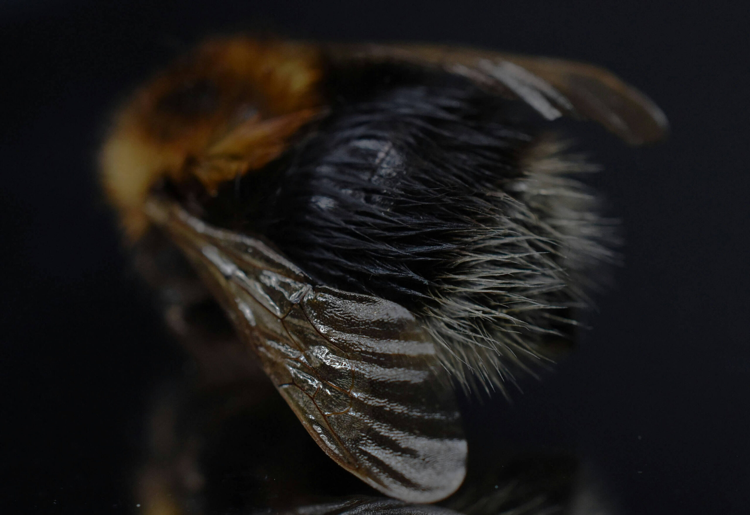 julia-fiander-d3PUbC3D5uw-unsplash