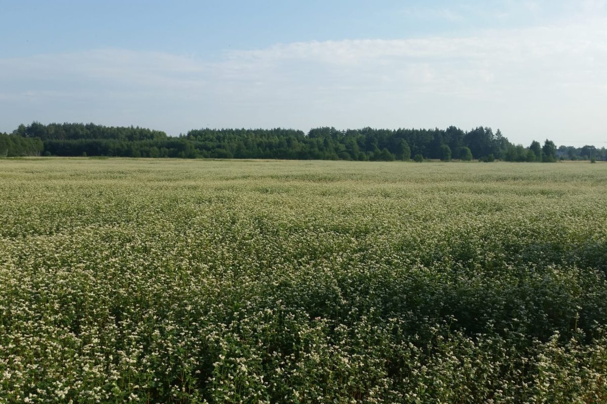 WhatsApp Image 2024-11-17 at 21.11.20 (1)