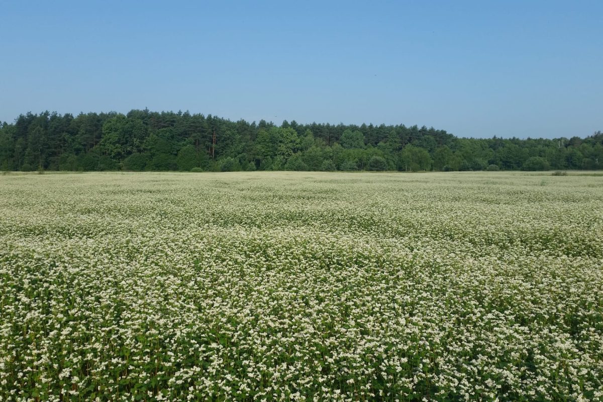 WhatsApp Image 2024-11-17 at 21.11.20 (2)