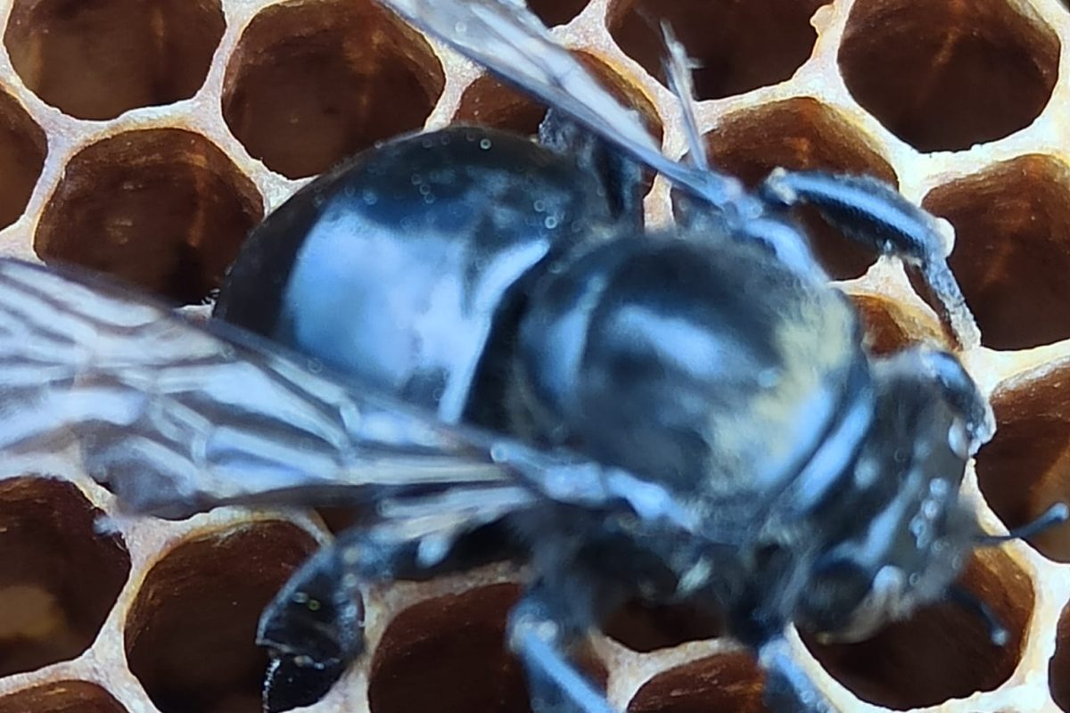 WhatsApp Image 2024-11-18 at 19.07.44 (3)