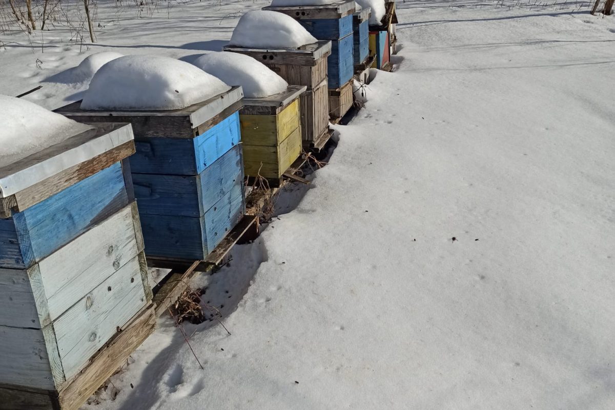 WhatsApp Image 2024-11-18 at 19.07.52