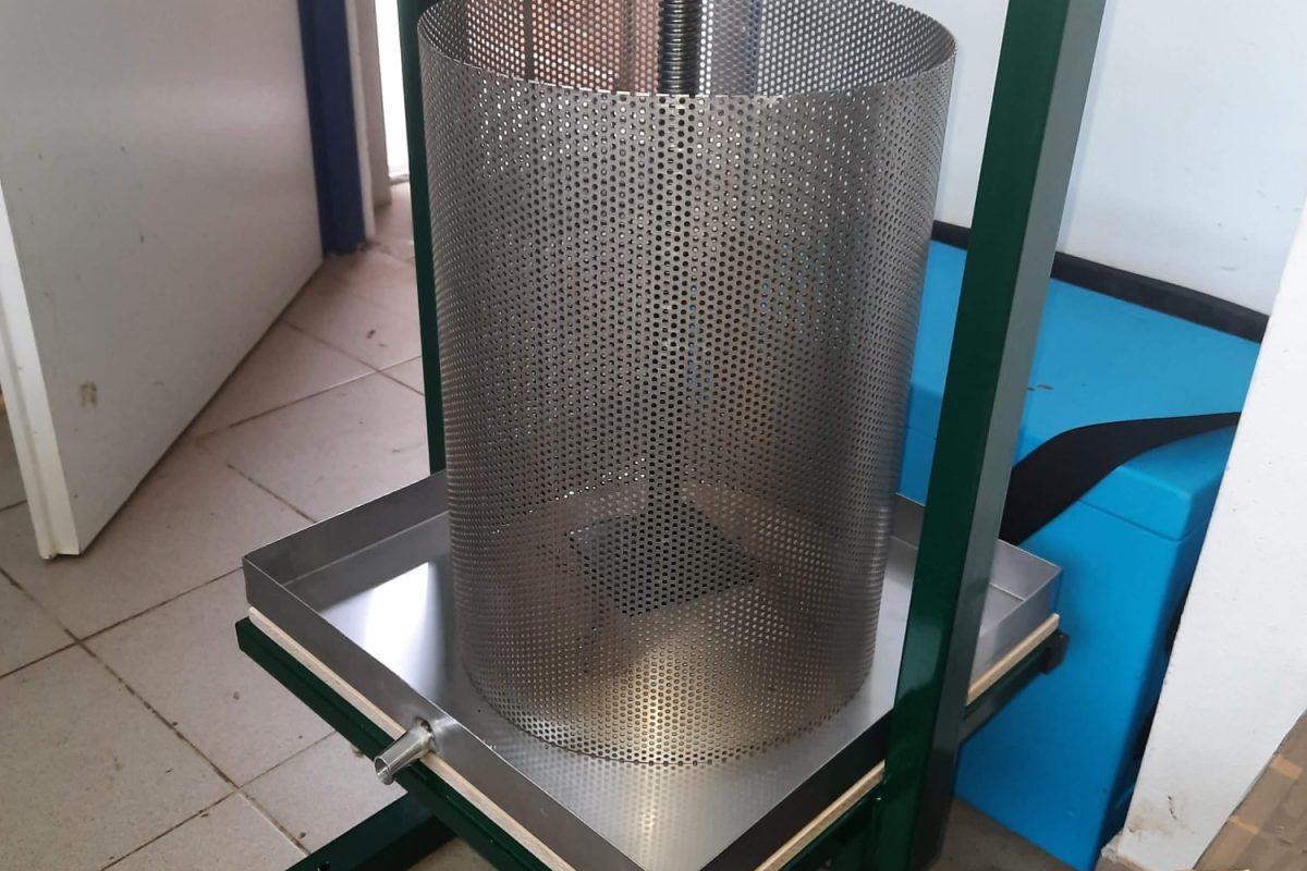 WhatsApp Image 2024-11-18 at 19.07.54 (2)