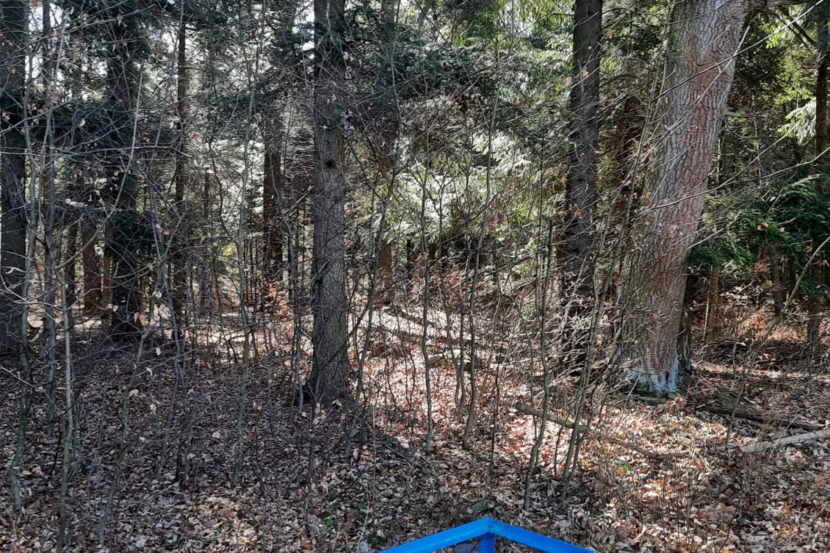 WhatsApp Image 2024-11-18 at 19.07.55 (1)