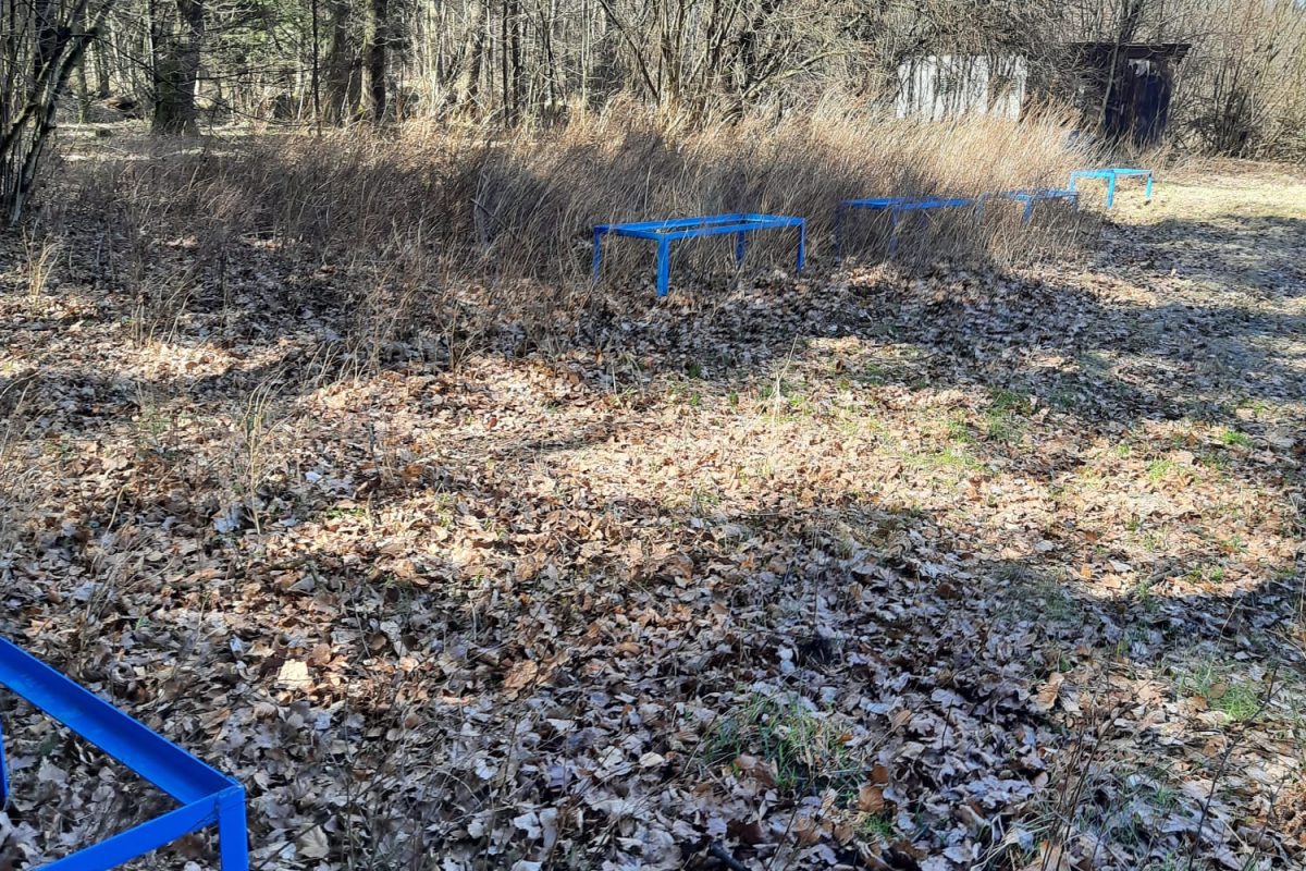 WhatsApp Image 2024-11-18 at 19.07.55 (2)