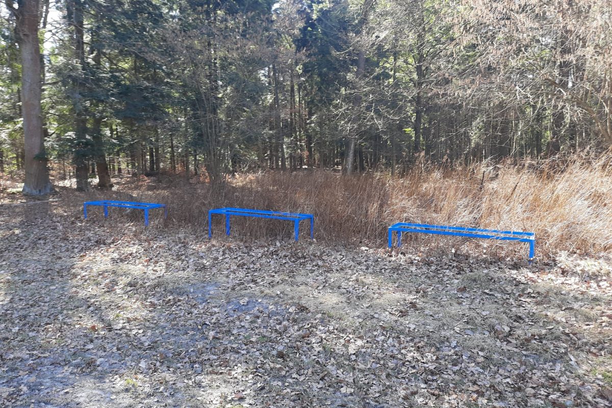 WhatsApp Image 2024-11-18 at 19.07.55 (3)