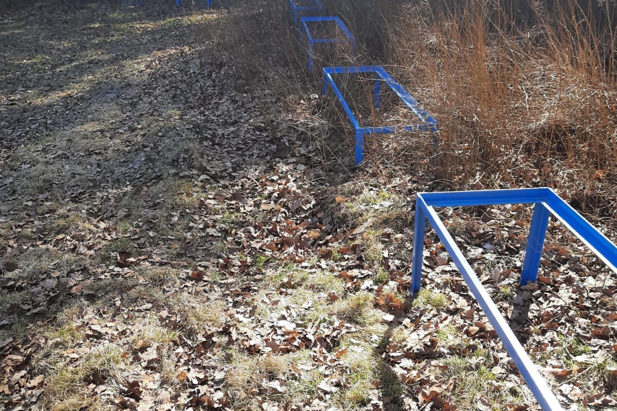 WhatsApp Image 2024-11-18 at 19.07.55 (4)