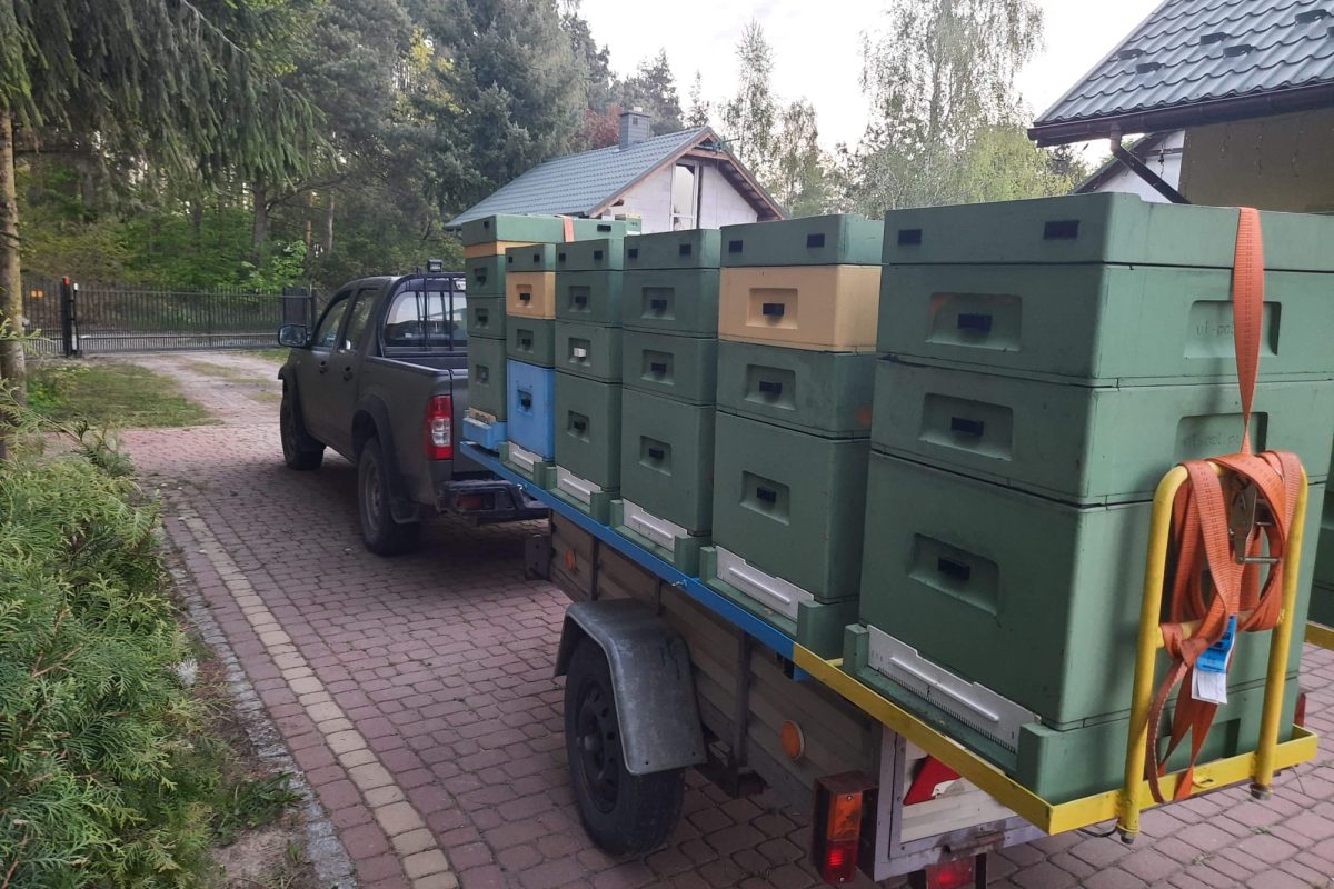 WhatsApp Image 2024-11-18 at 19.07.56 (1)