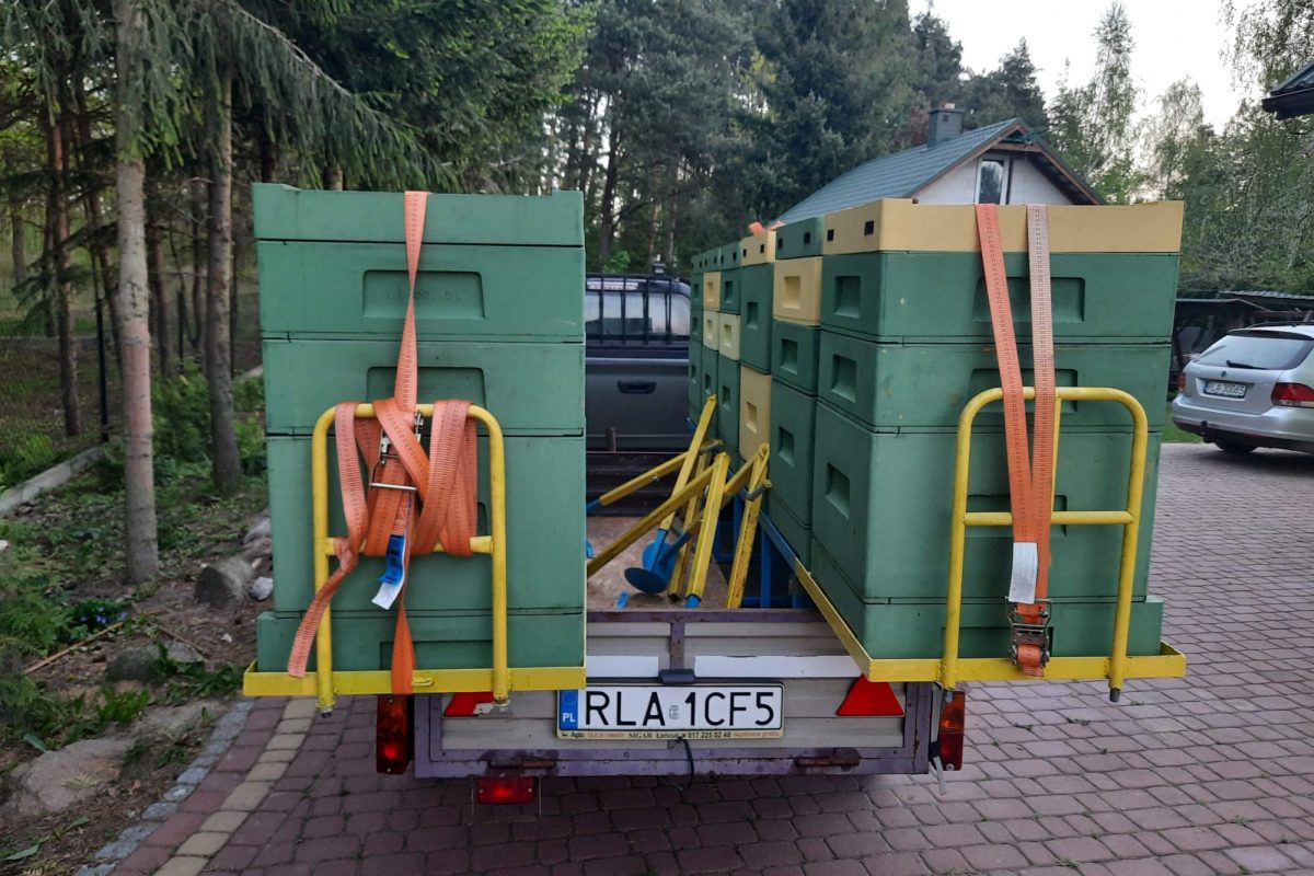 WhatsApp Image 2024-11-18 at 19.07.56 (2)