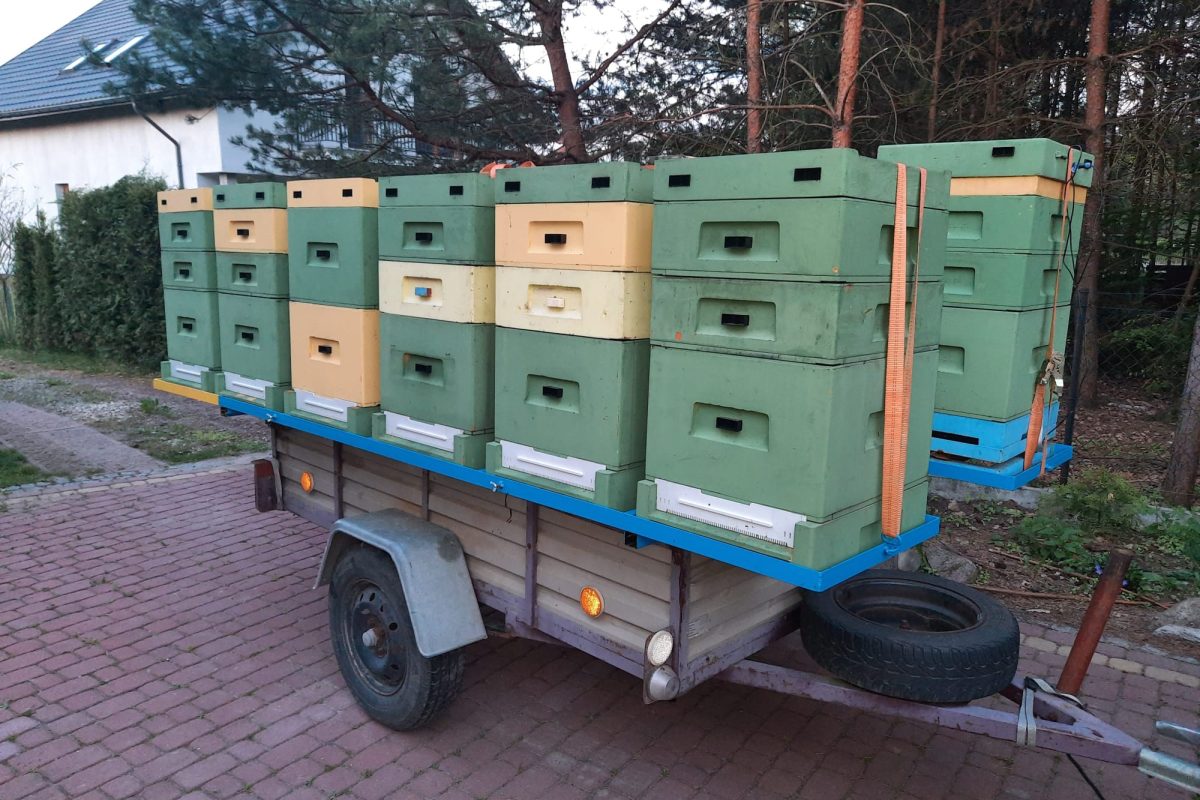 WhatsApp Image 2024-11-18 at 19.07.56 (3)