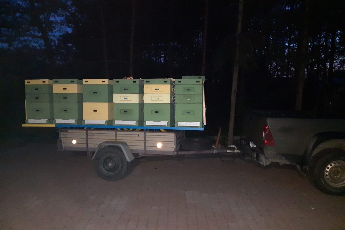 WhatsApp Image 2024-11-18 at 19.07.56 (5)