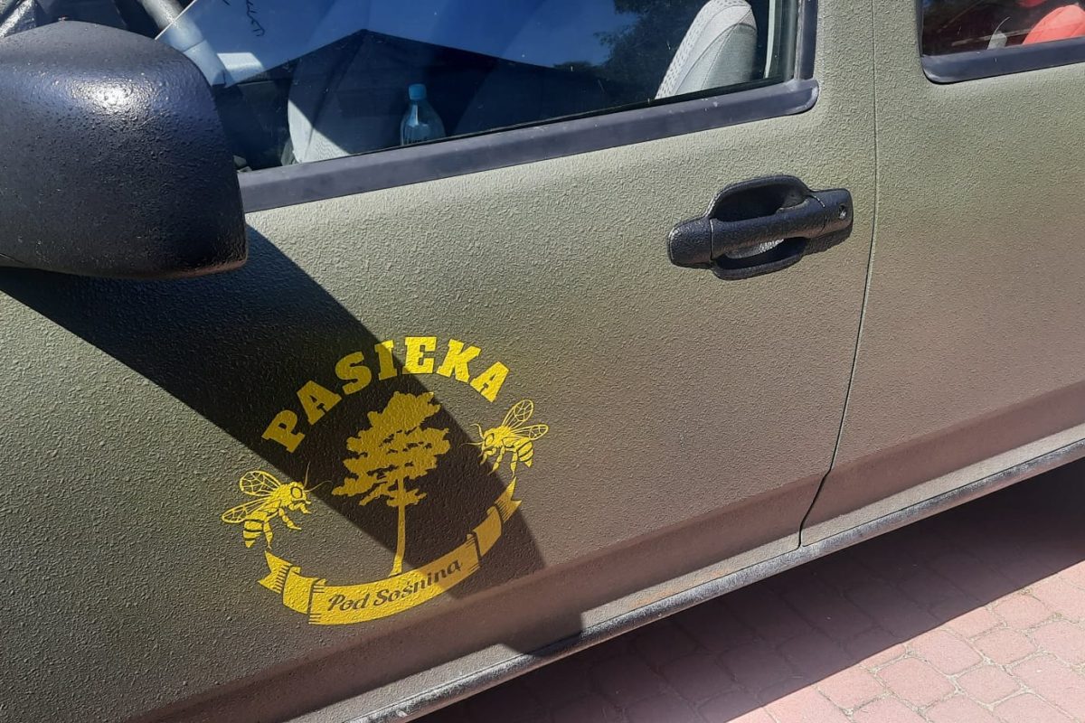 WhatsApp Image 2024-11-18 at 19.07.58 (3)