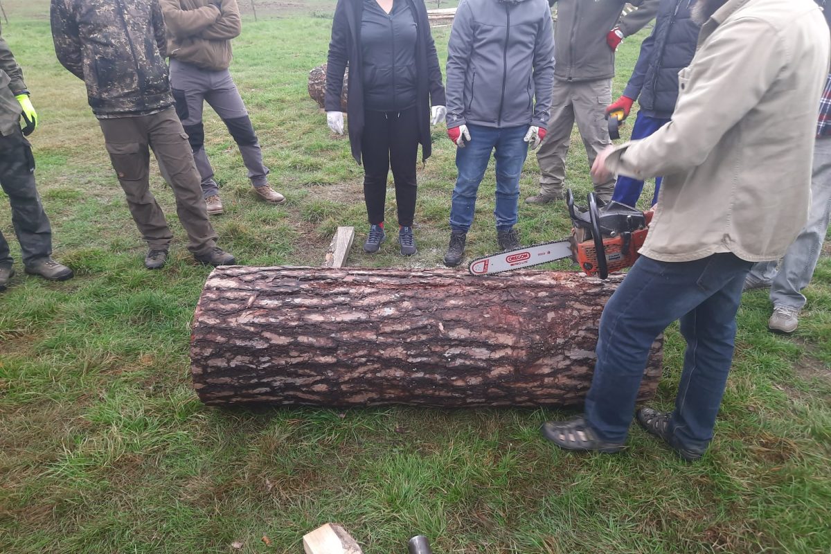 WhatsApp Image 2024-11-18 at 19.07.59 (4)