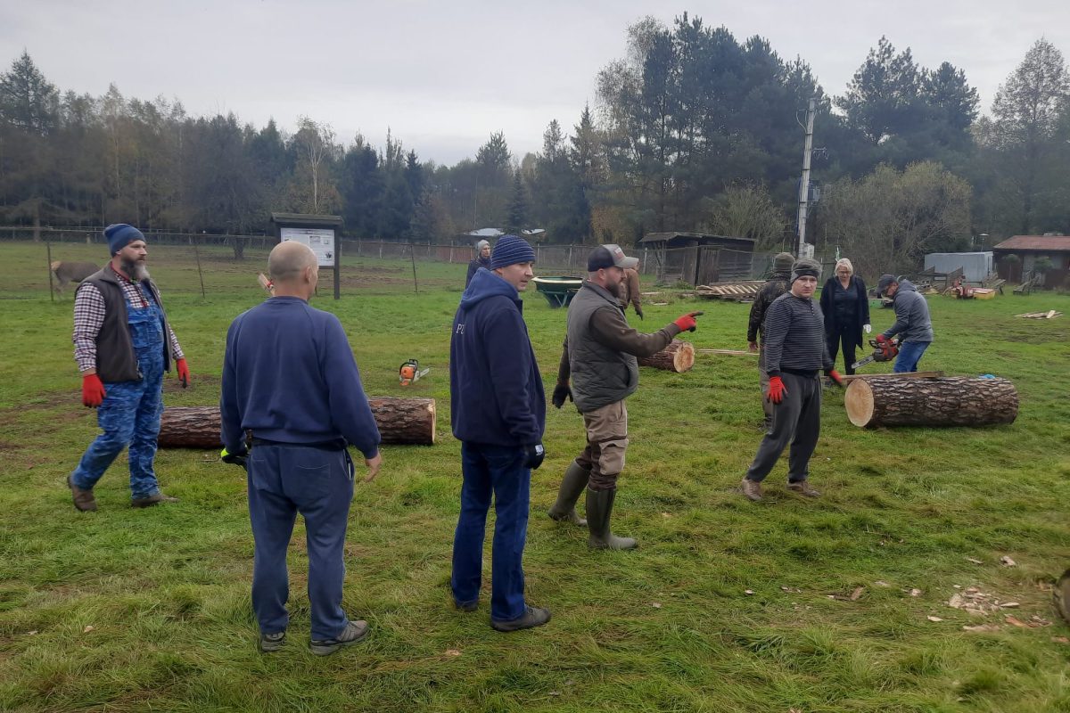 WhatsApp Image 2024-11-18 at 19.07.59 (5)