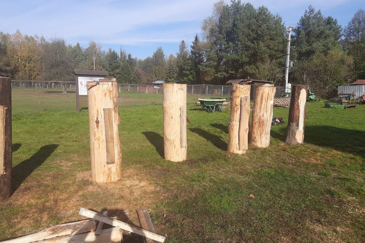 WhatsApp Image 2024-11-18 at 19.08.00 (1)