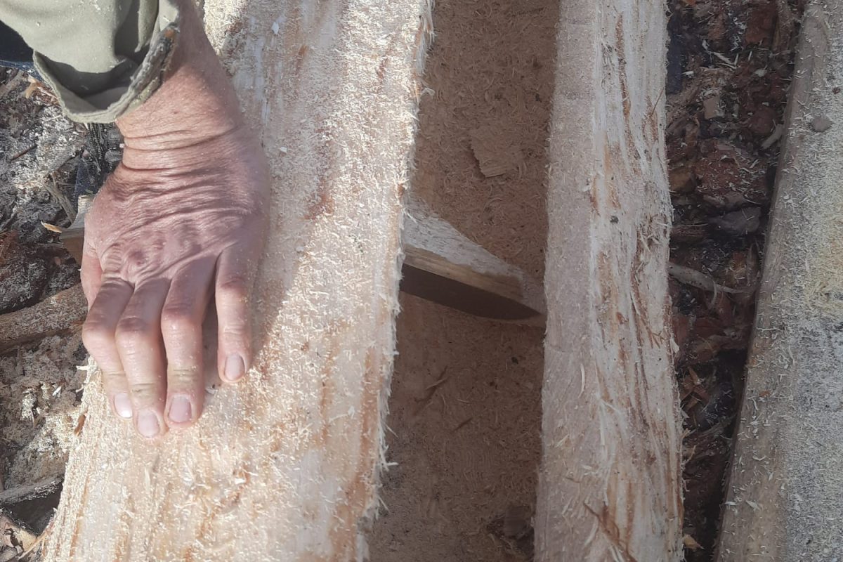 WhatsApp Image 2024-11-18 at 19.08.00 (3)