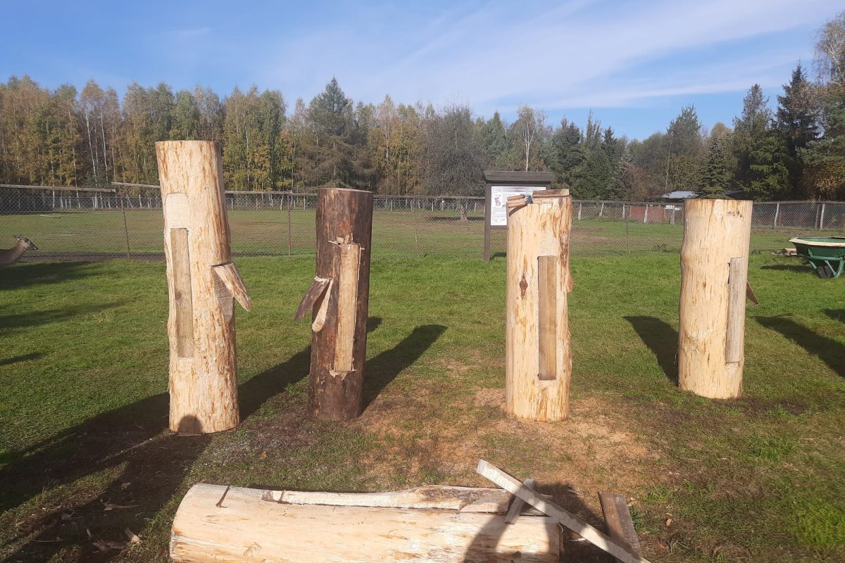 WhatsApp Image 2024-11-18 at 19.08.00