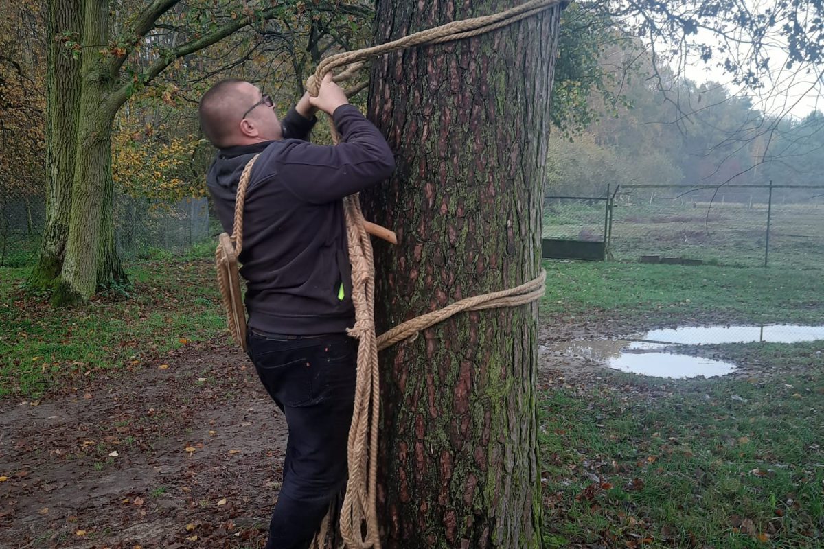 WhatsApp Image 2024-11-18 at 19.08.01 (5)