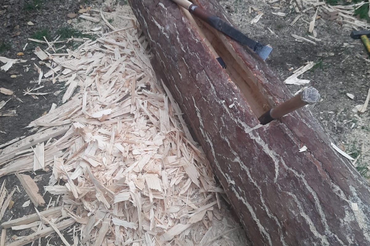 WhatsApp Image 2024-11-18 at 19.08.03 (1)