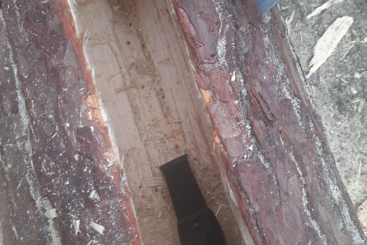 WhatsApp Image 2024-11-18 at 19.08.03 (2)