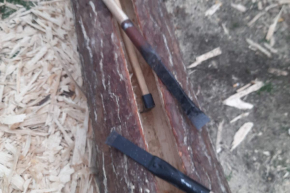 WhatsApp Image 2024-11-18 at 19.08.03 (3)