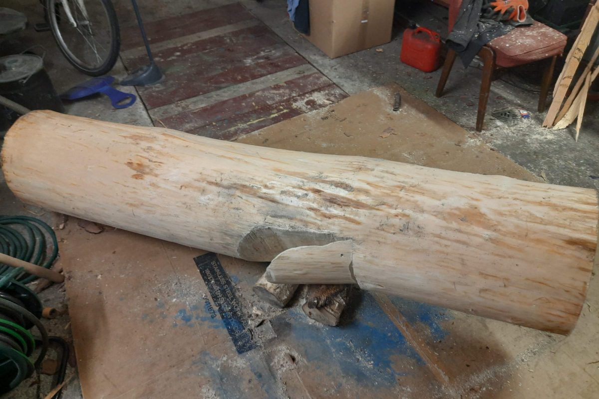 WhatsApp Image 2024-11-18 at 19.08.03