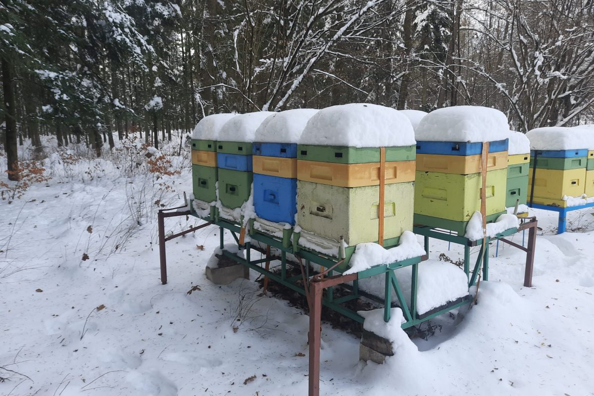 WhatsApp Image 2024-11-18 at 19.08.04 (3)