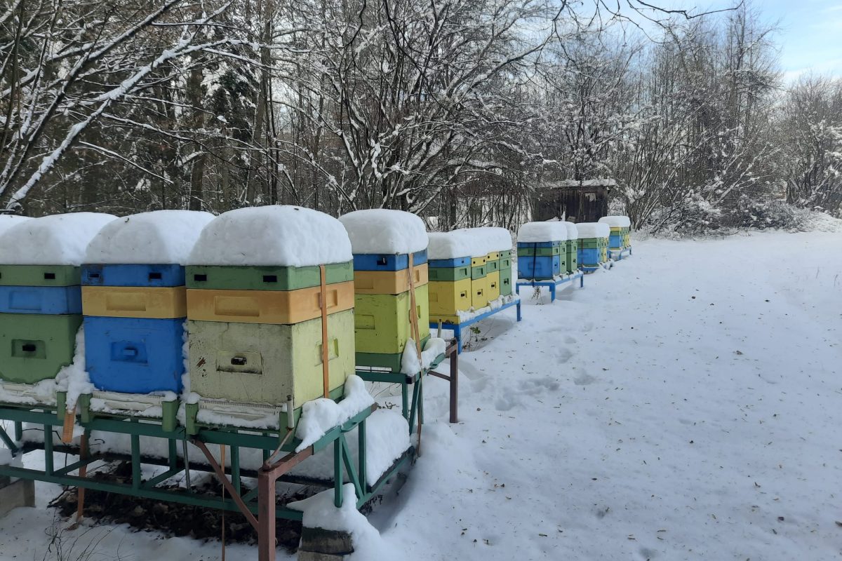 WhatsApp Image 2024-11-18 at 19.08.04 (4)