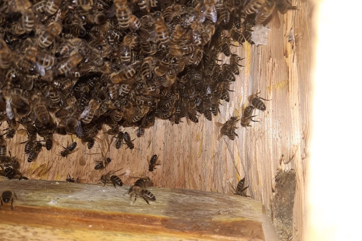 WhatsApp Image 2024-11-18 at 19.08.06 (2)