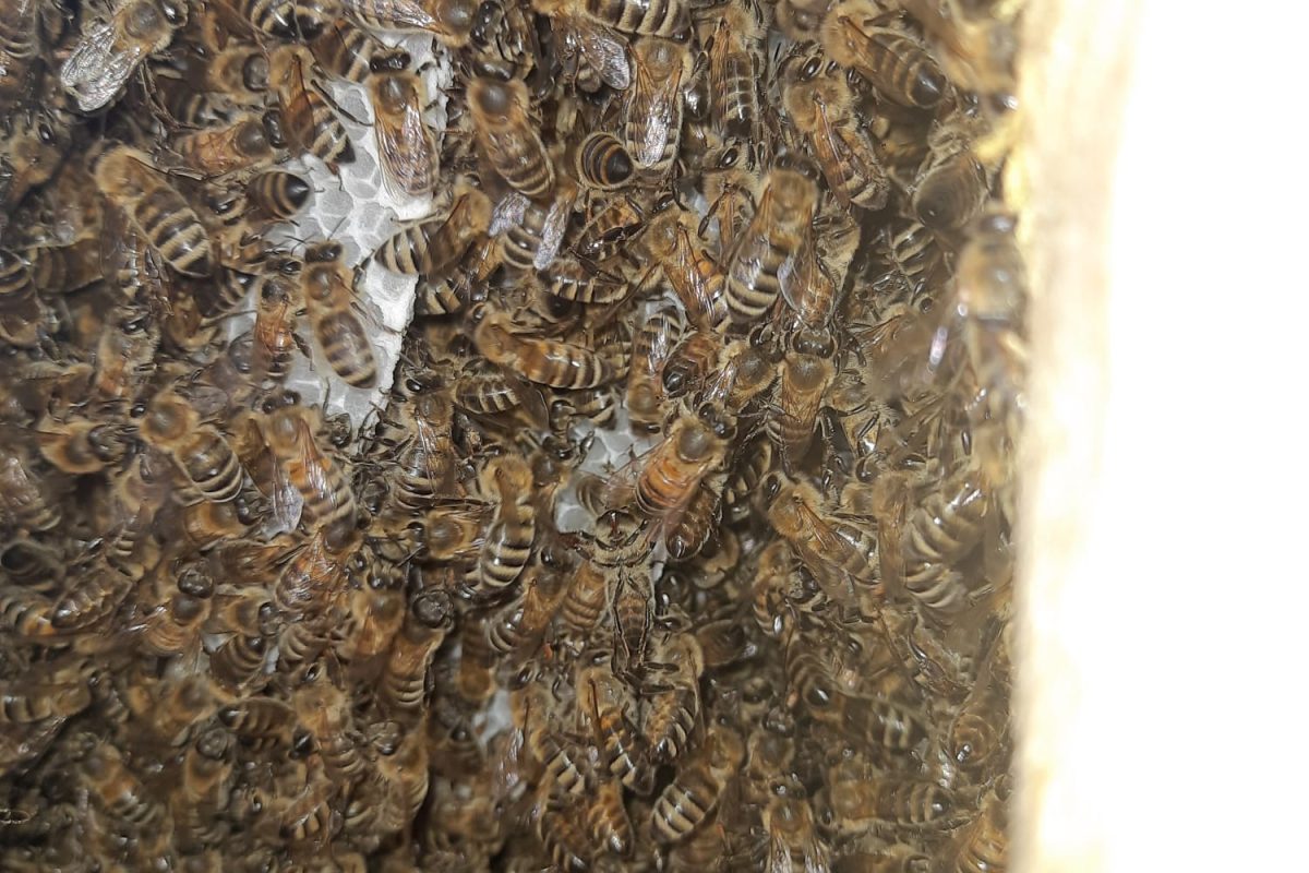 WhatsApp Image 2024-11-18 at 19.08.06 (3)