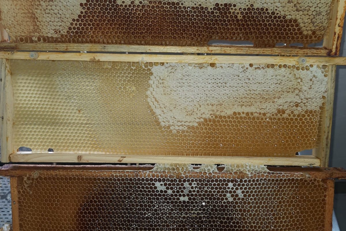 Wirowanie zawsze pod domem