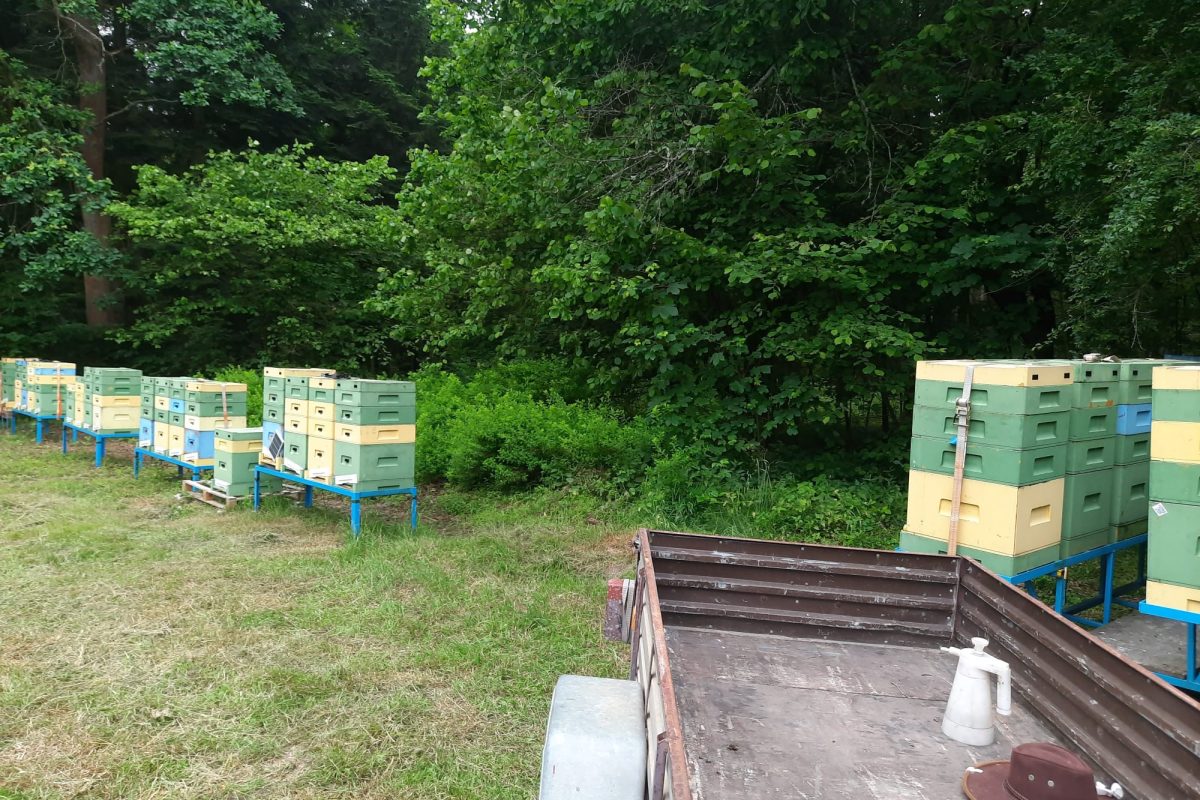 WhatsApp Image 2024-11-18 at 19.08.07 (2)