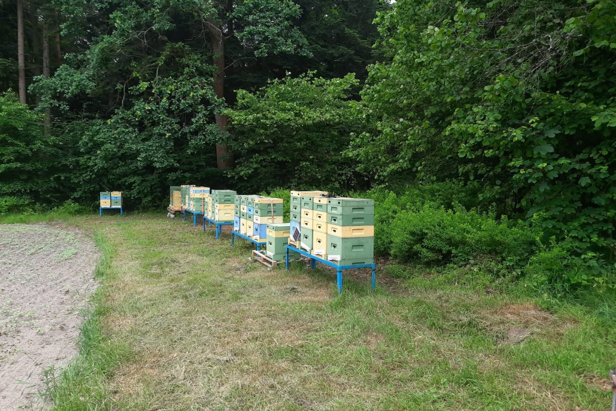 WhatsApp Image 2024-11-18 at 19.08.07 (3)