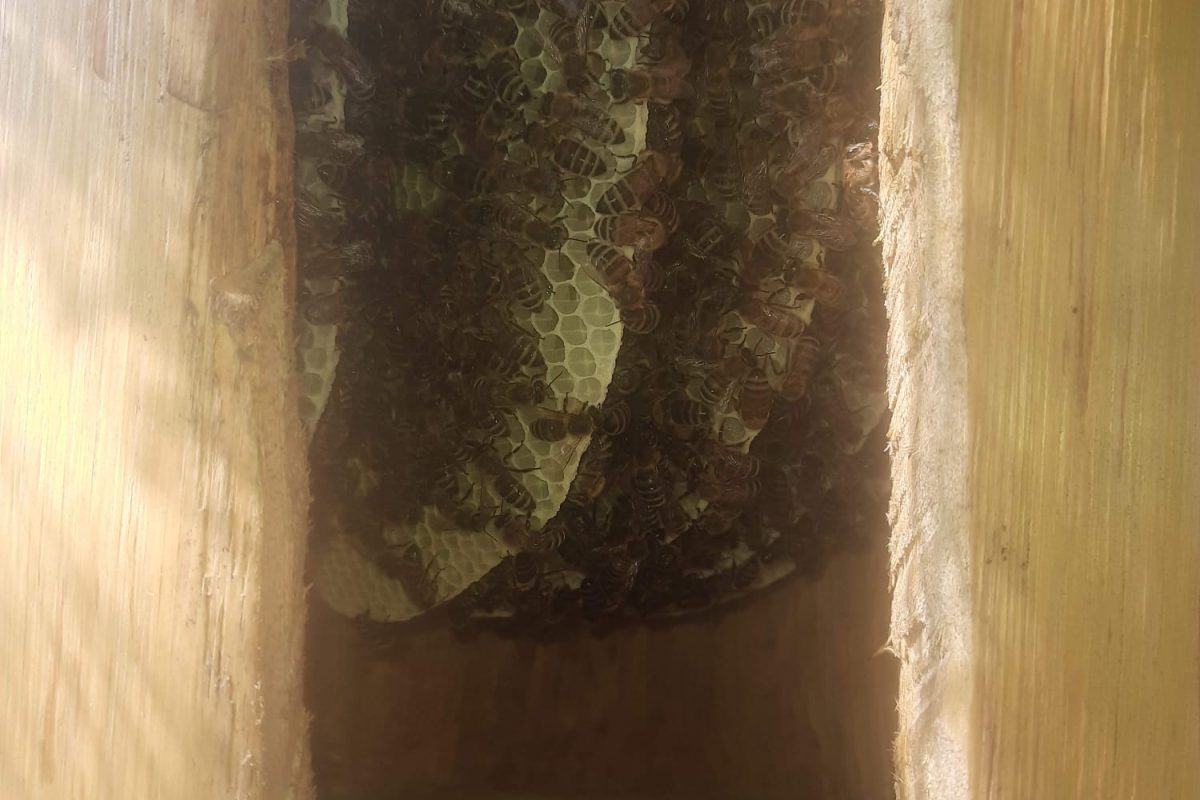 WhatsApp Image 2024-11-18 at 19.08.07