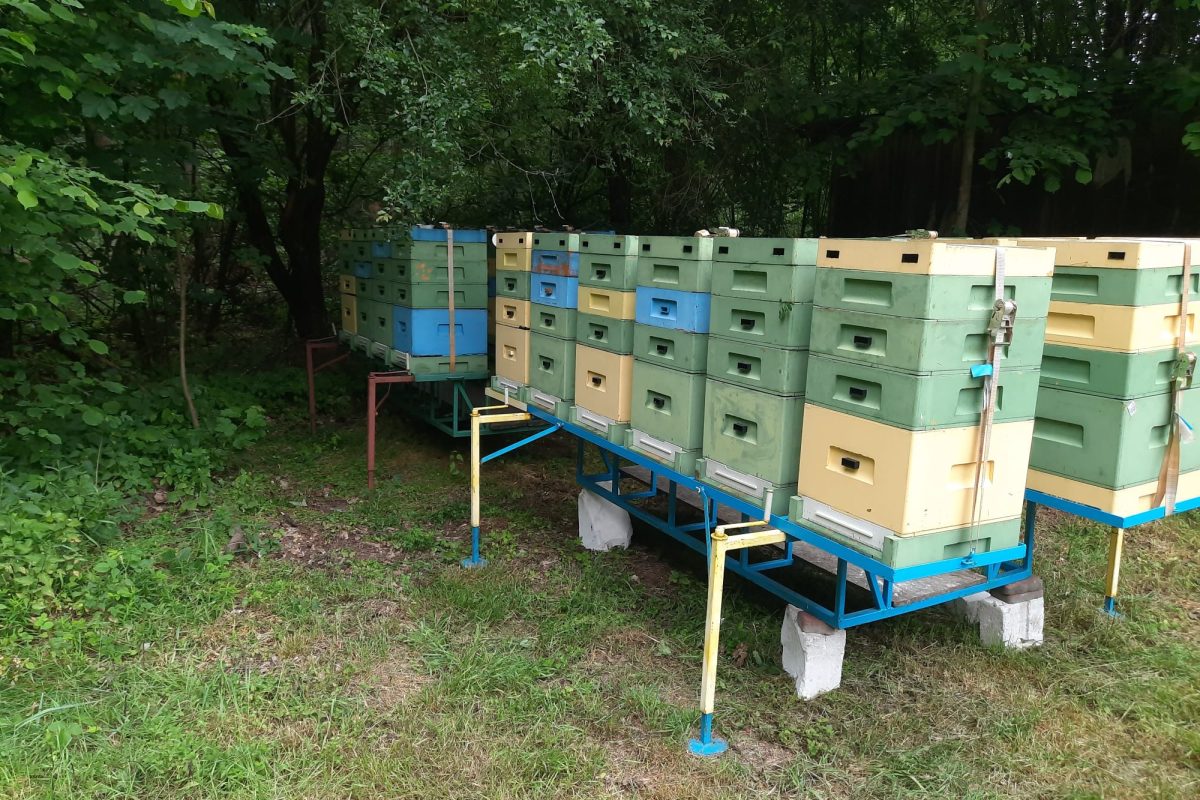 WhatsApp Image 2024-11-18 at 19.08.08