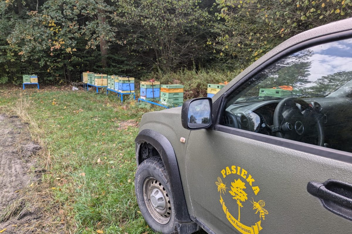 WhatsApp Image 2024-11-18 at 19.08.10