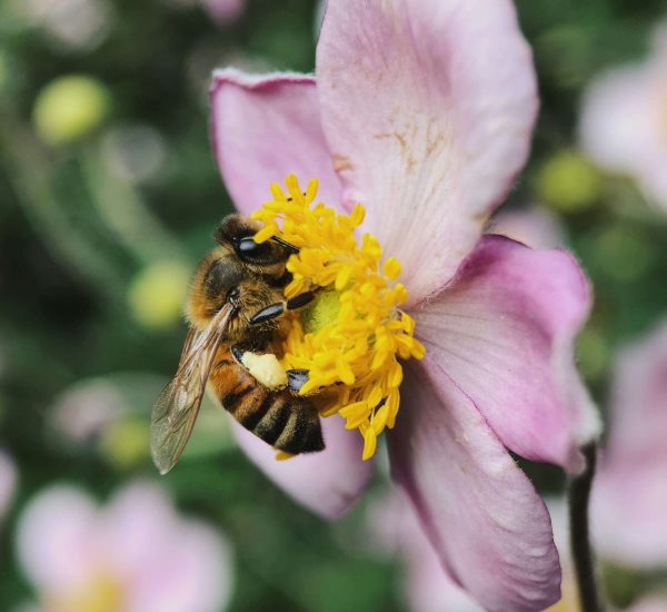 aaron-burden-ZLJEN3rZuPk-unsplash