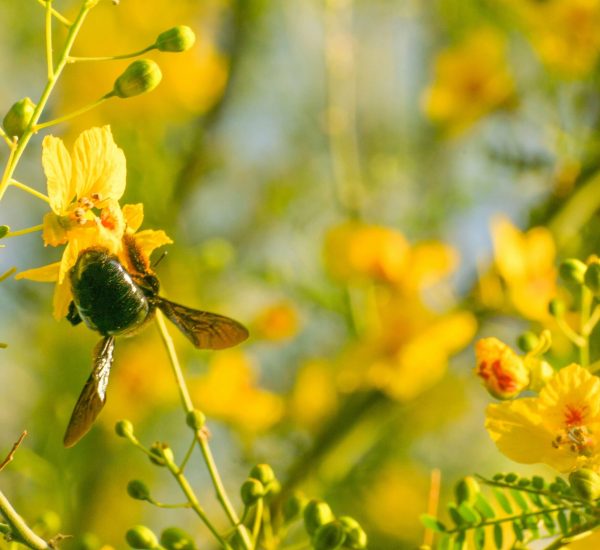 izumi-v8TQRuAoksM-unsplash