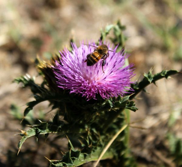 john-PX5YIwNRuRg-unsplash