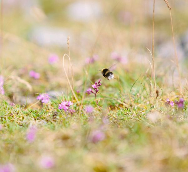 mike-erskine-zXxz8AAcSmE-unsplash-2