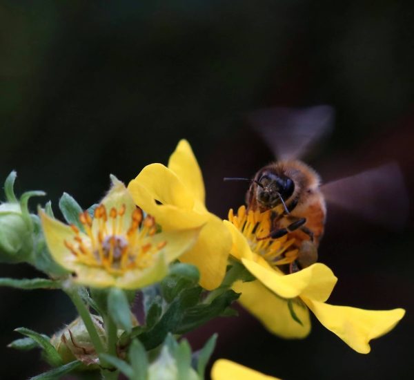 ngan-nguyen-MOFZP_7P510-unsplash